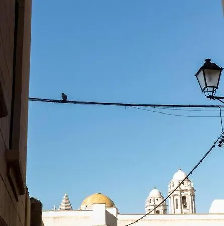 Candie By Gades Gestion *