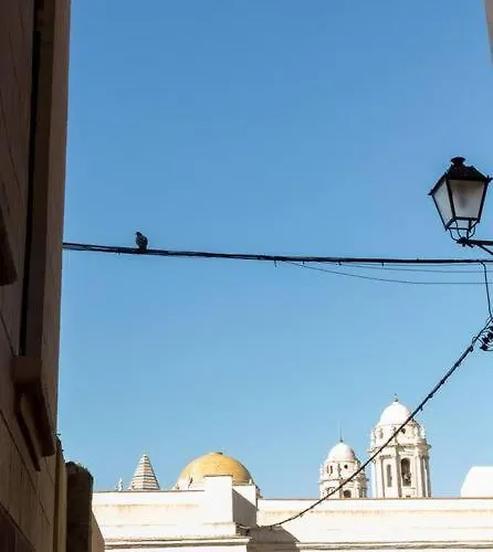 Candié By Gades Gestión *